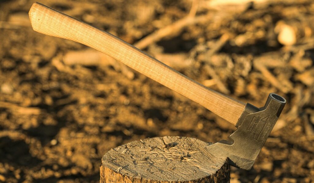 Paras kaatorauta testi