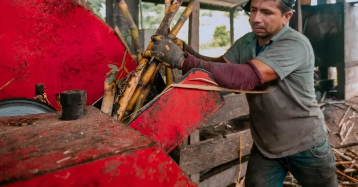Hakehakkuri hakettaa