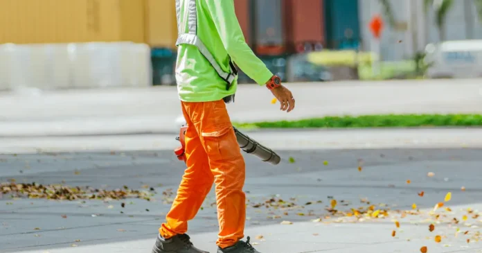 puhallin-vai-lehti-imuri Puhallin vai lehti-imuri