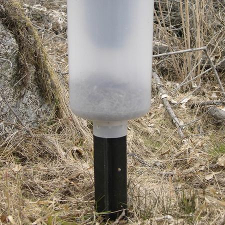 Nordforest Nove kuoriaisansa