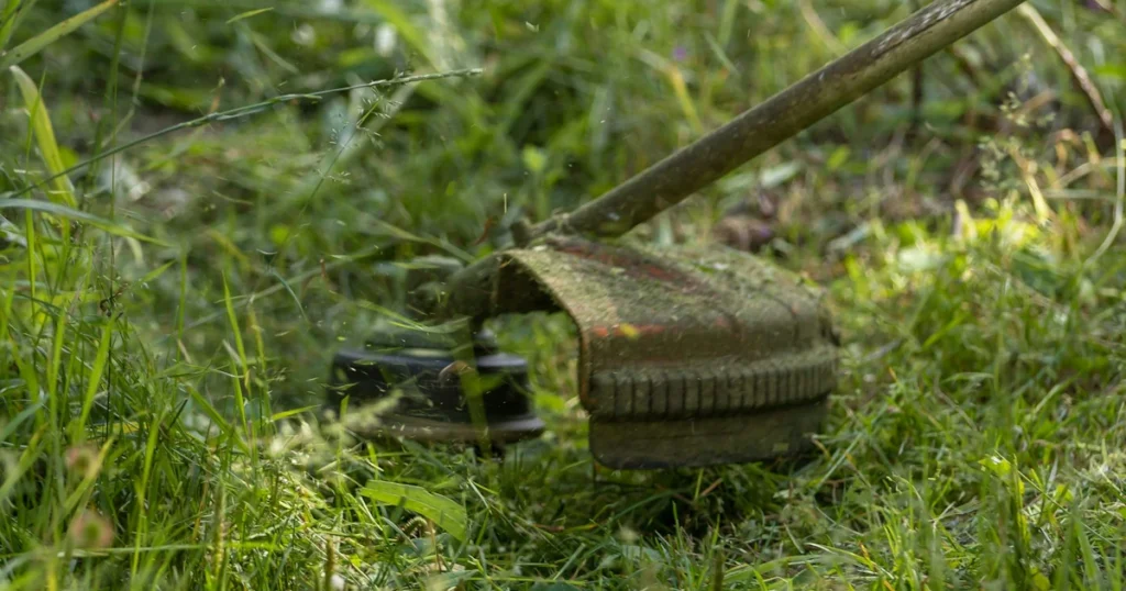 Paras akkuraivuri testi