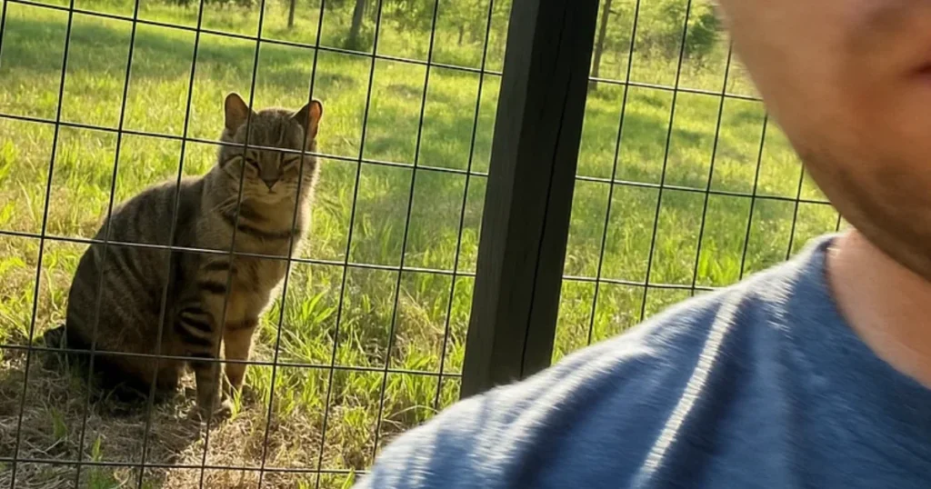 Paras riista-aita testi