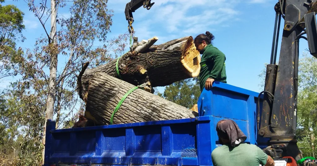 Paras teräsköysitalja testi