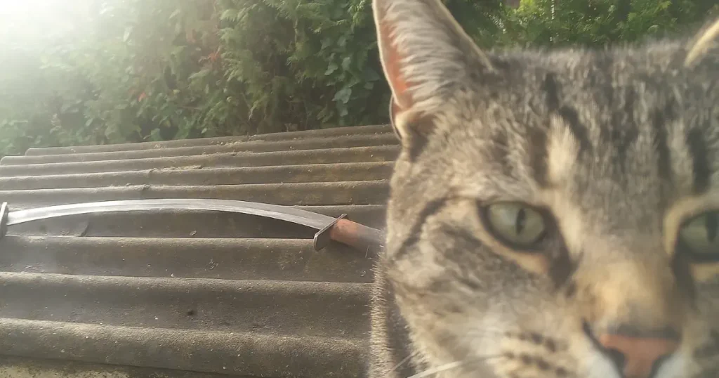 Paras kuorimarauta testi vertailu