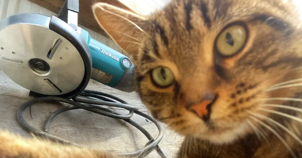 Paras Vuolu-Veikko testi vertailu