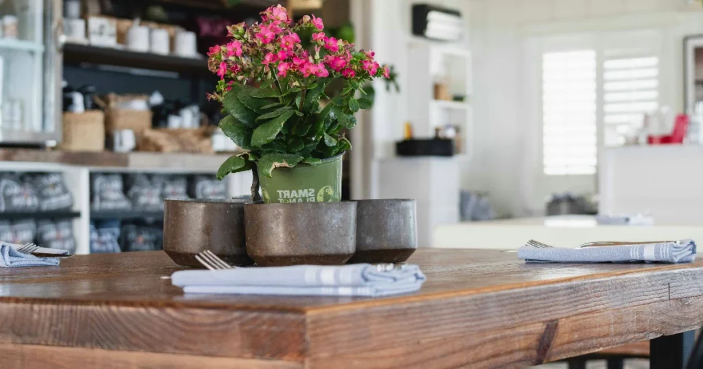 Paras lankkupöytä testi