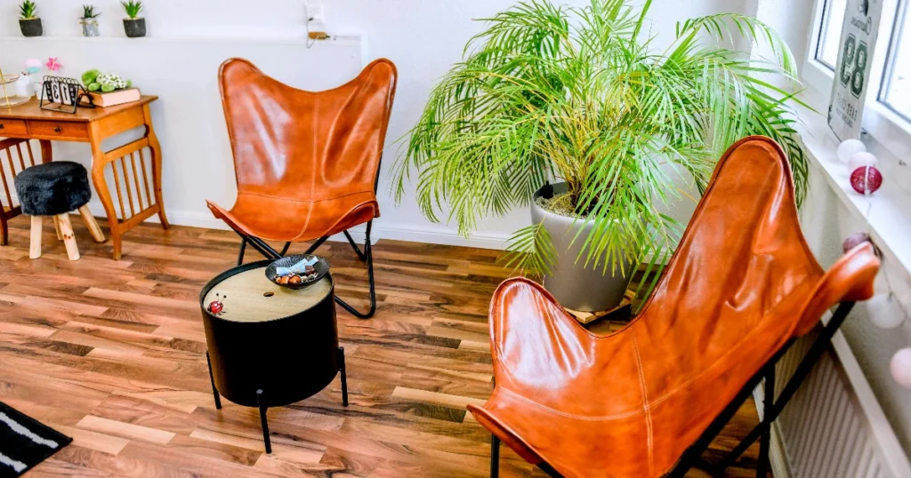 Paras lepakkotuoli testi