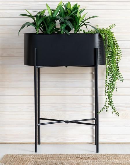 Lilja kukkateline musta