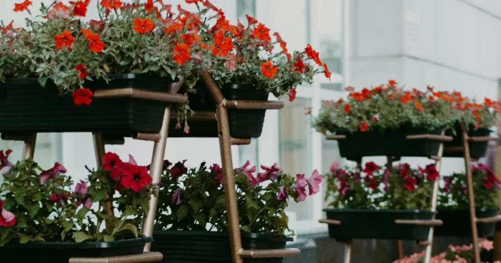 paras kukkateline testi