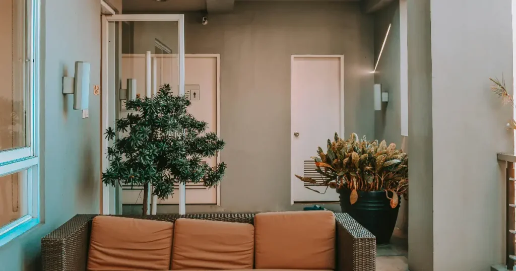 Paras polyrottinki sohva testi