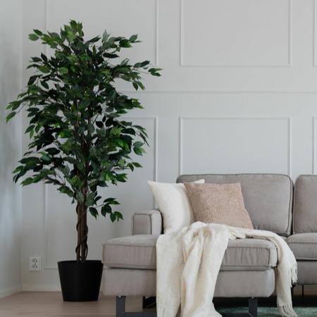 Fiikus tekokasvi 160 cm vihreä