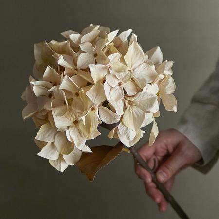 Bloomingville Hortensia tekokukka oksa luonnonväri