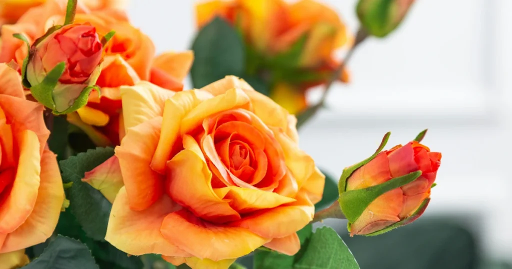 Paras tekokukka vertailu