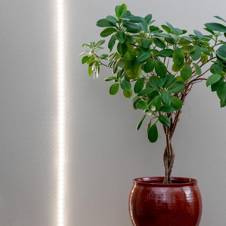 Airam LED kasvivalonauha 2 m