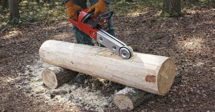 Eder kourujyrsin arvostelu